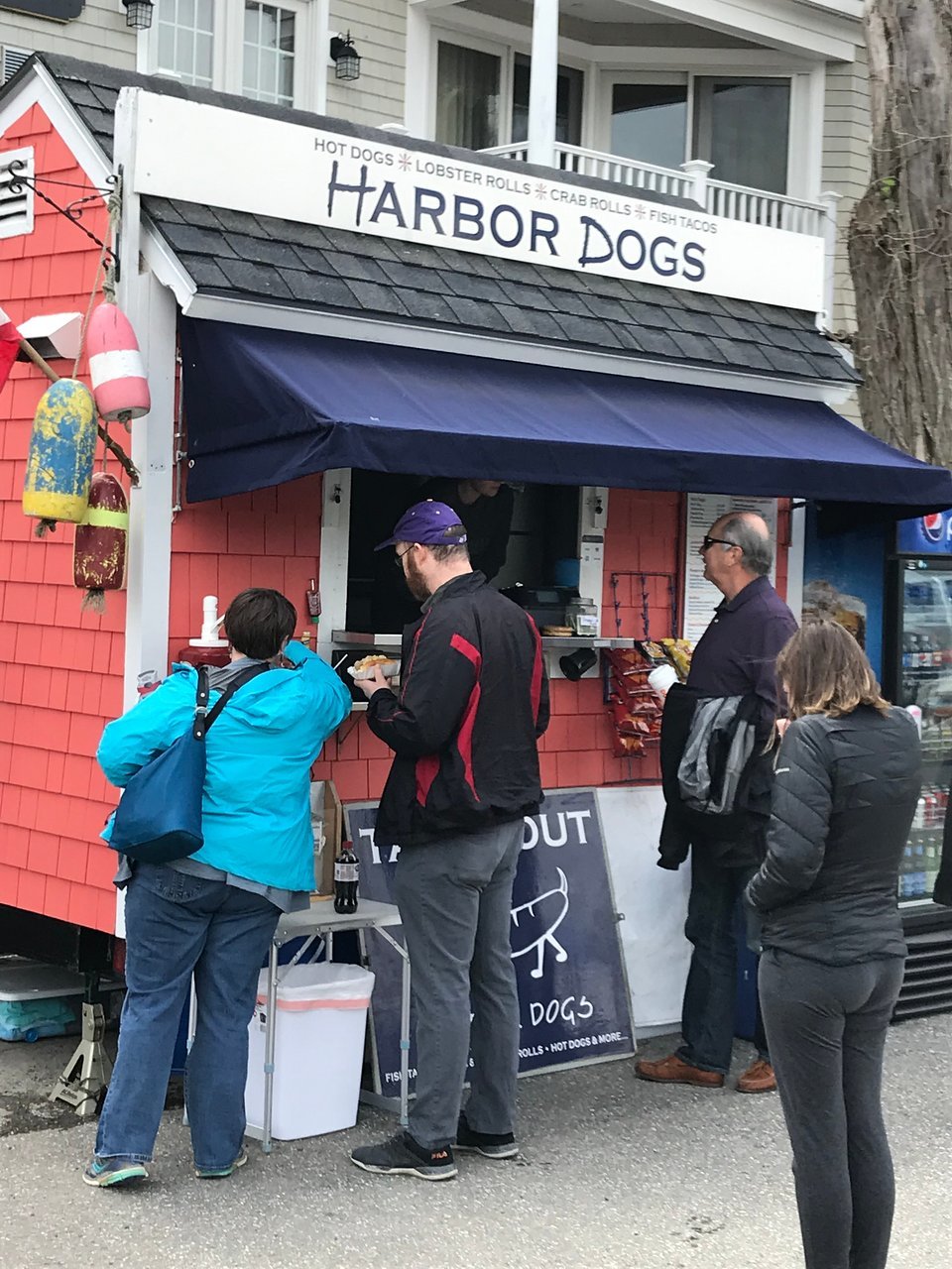 Harbor Dogs